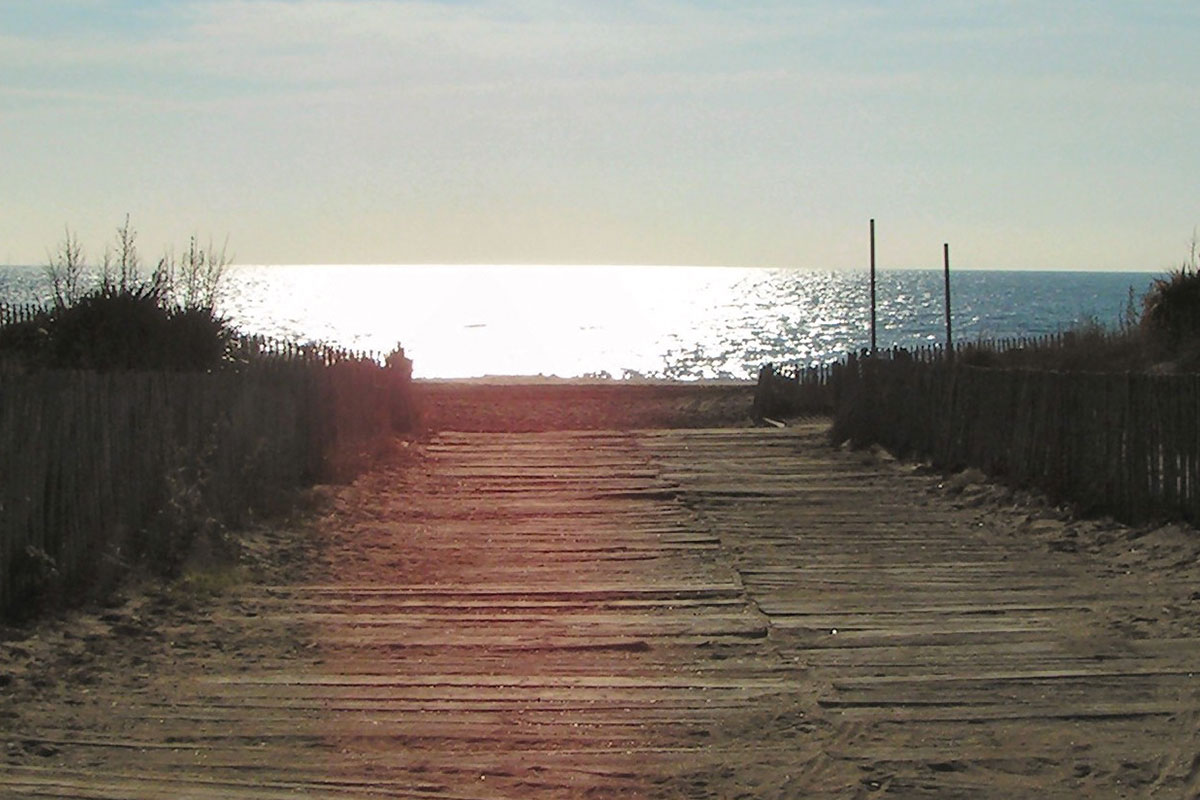 marche specialite culinaire provence 10