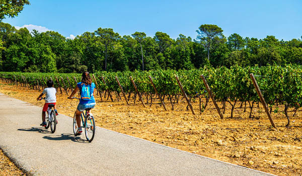 guide vélo dracénie