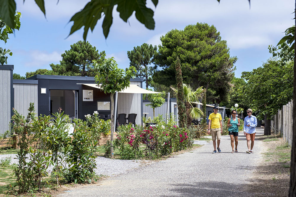 vignette que faire basse saison vendres plage languedoc