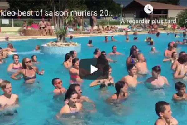 Vidéo Best Of - Les Muriers