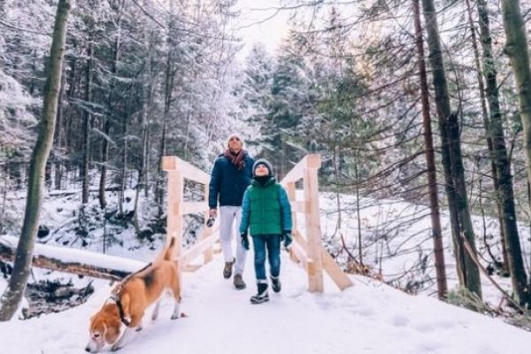 Partir à la montagne sans skier