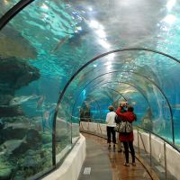 visiter-aquarium-cap-agde-famille-vacances